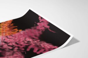 Fine Art Print Vincent Schiphorst