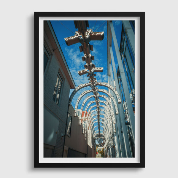 Fine Art kunstprint Passage de la Baleine limited edition A1 Vincent Art