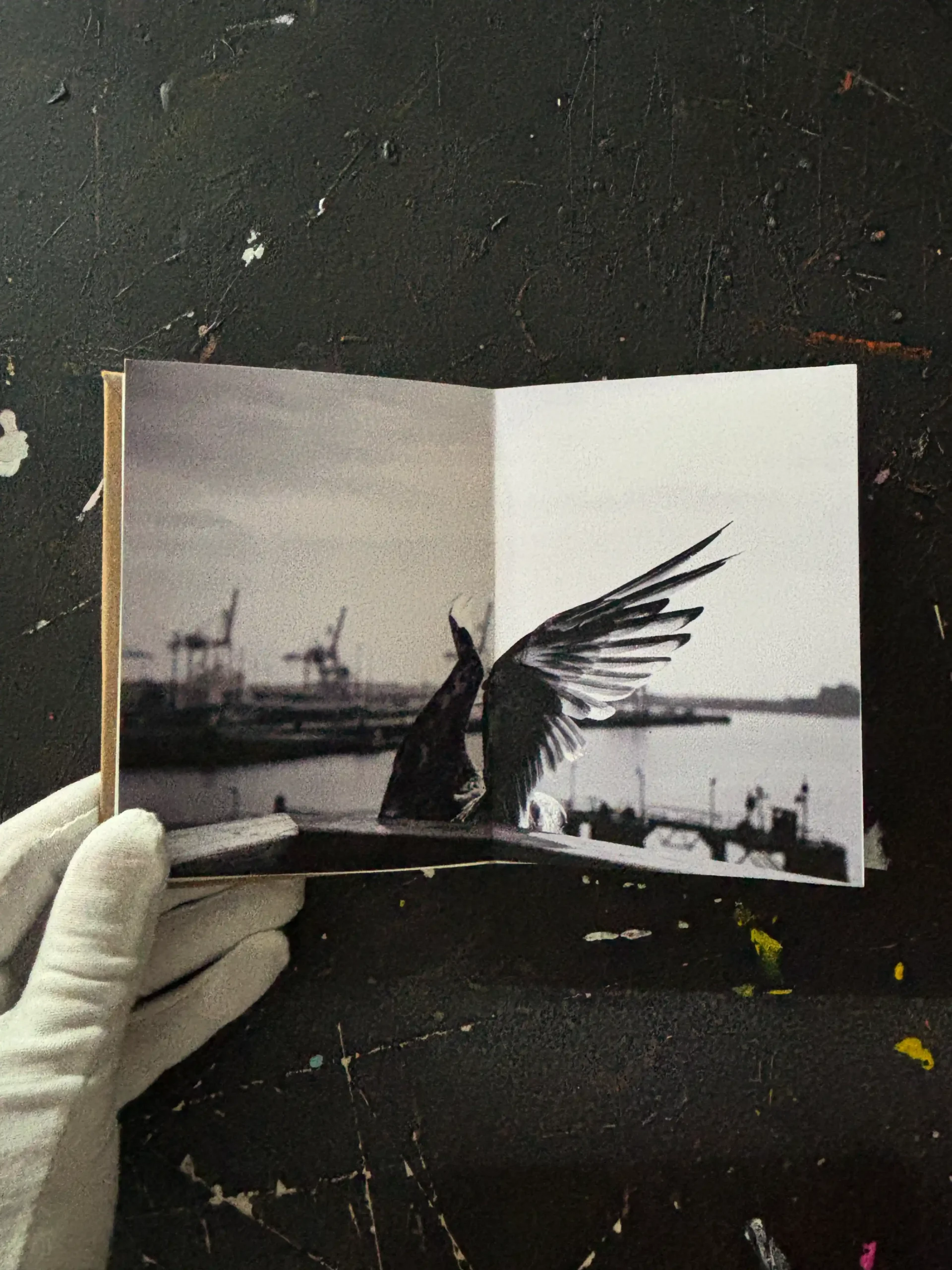 Fotoboek Light and Shadow 07 - Afbeelding 11