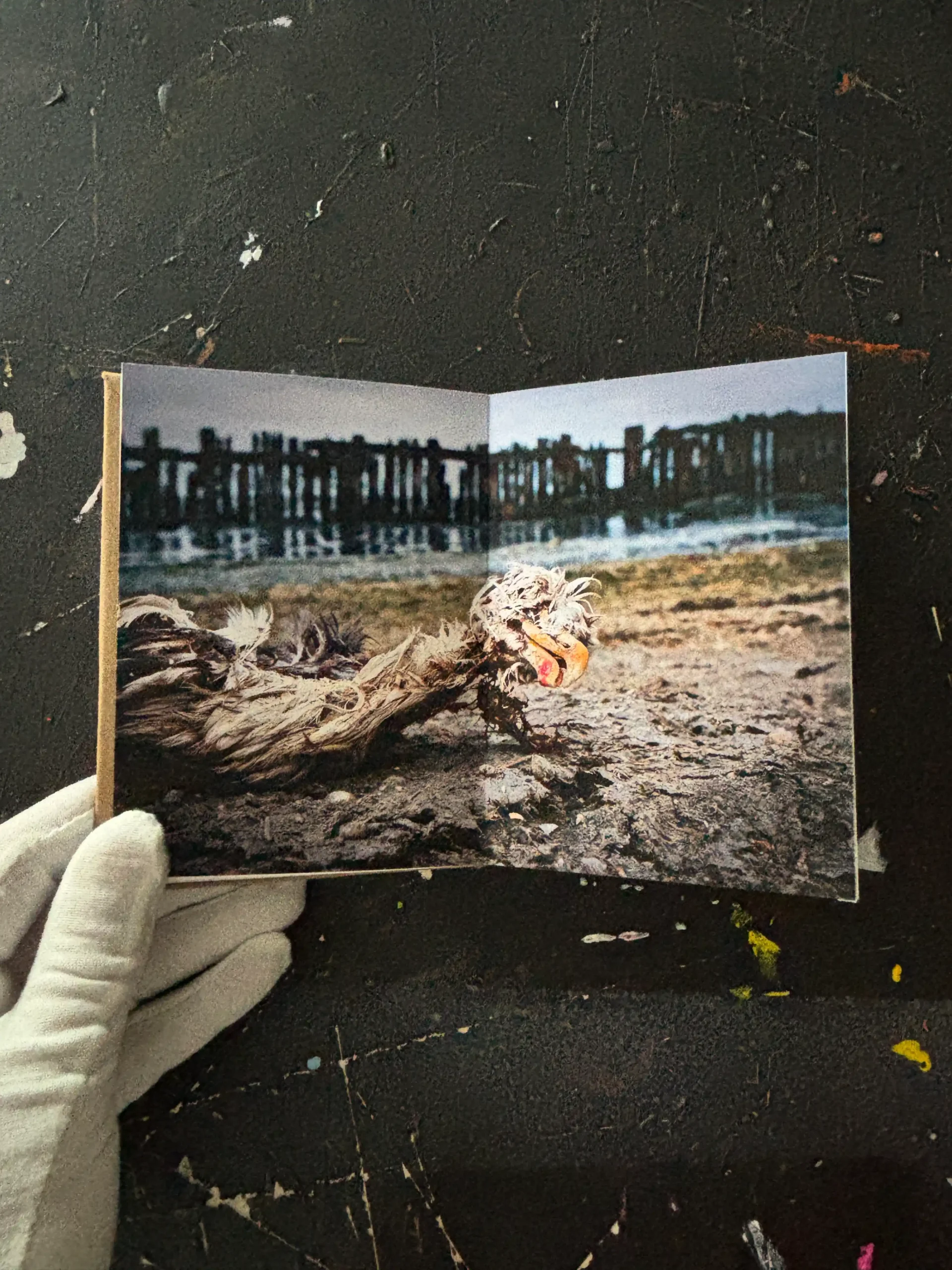 Fotoboek Light and Shadow 07 - Afbeelding 5