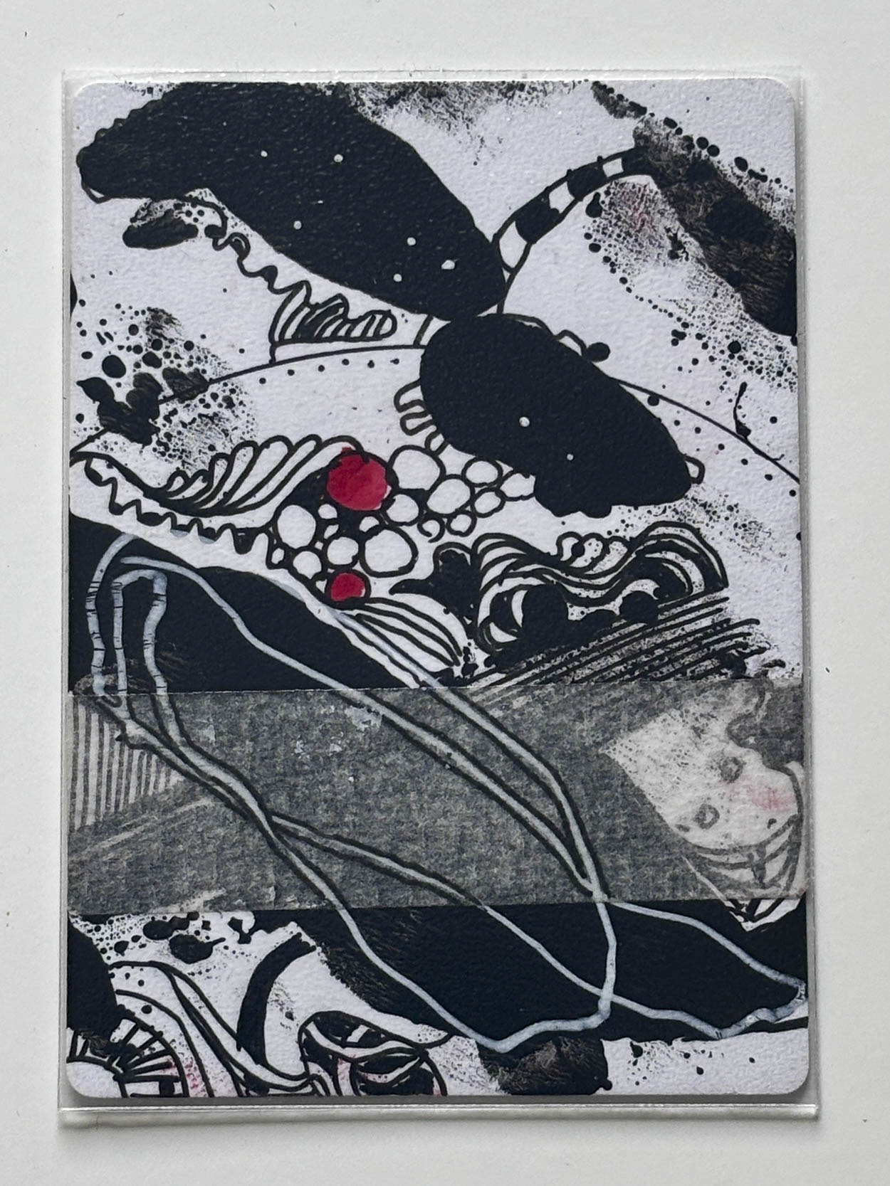ACEO Card - Cullen - Afbeelding 2